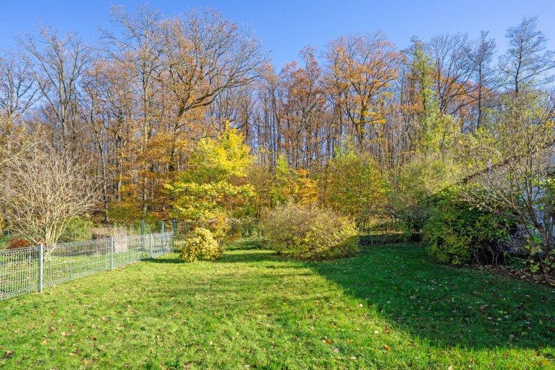 Blick Richtung östliche Grundgrenze