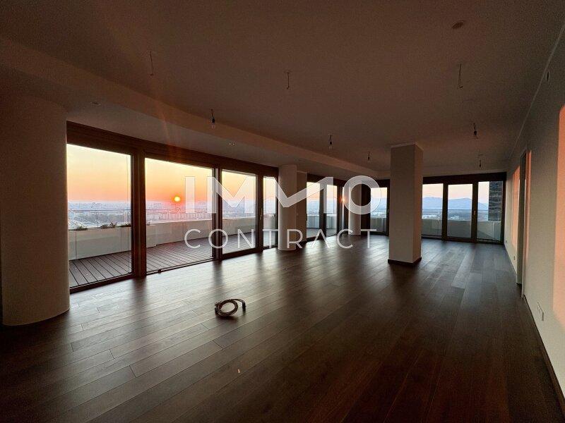 Wohn-Essbereich Richtung Kahlenberg