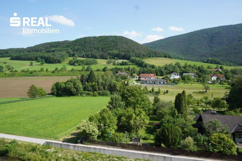 Ausblick