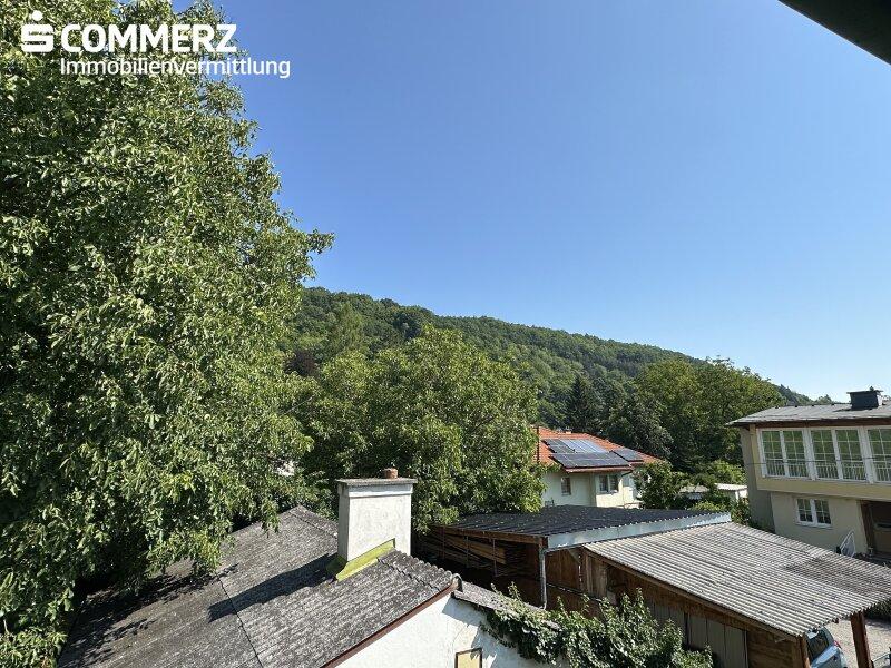 Ausblick