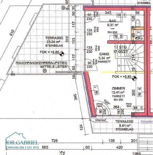 Plan DG