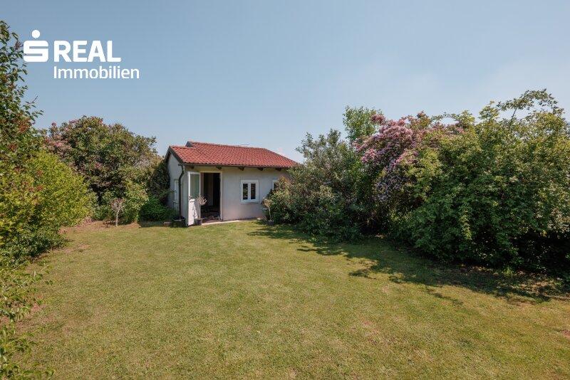 Garten 1