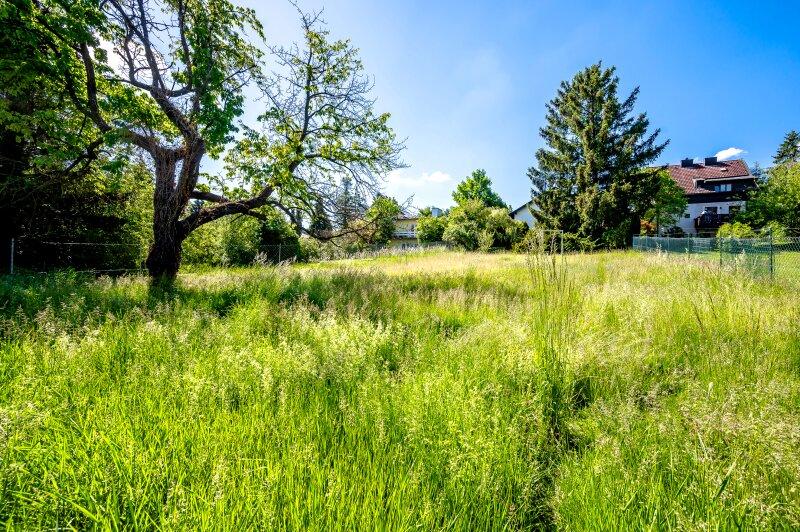 Ansicht Garten Richtung Süden