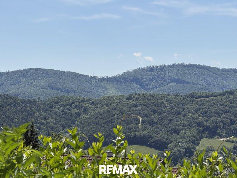 Fernblick