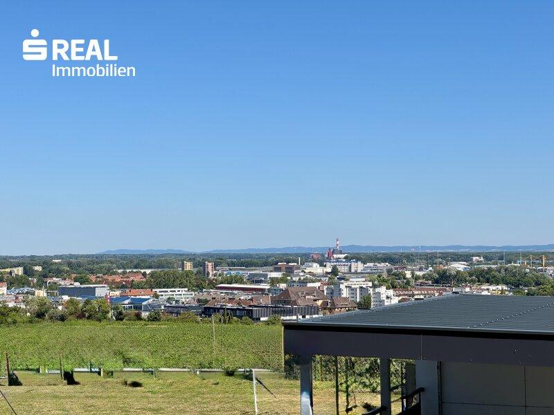 Ausblick