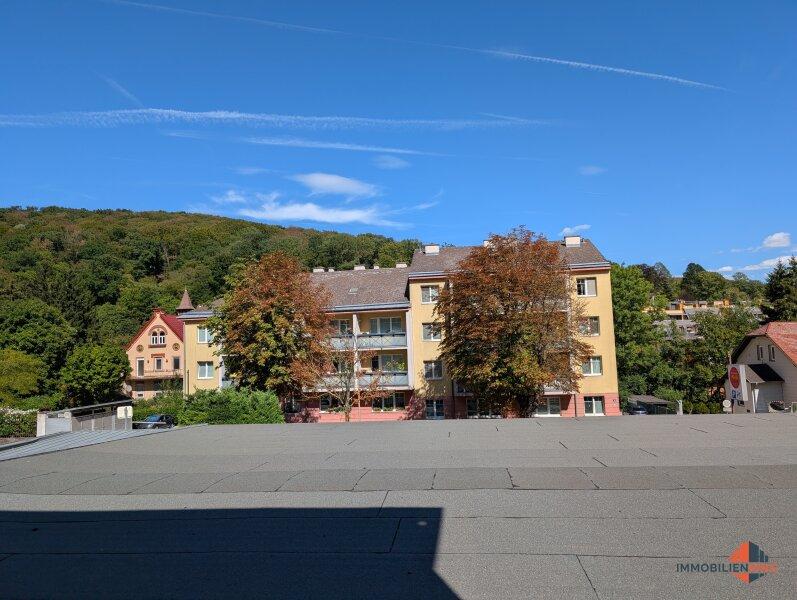 Ausblick