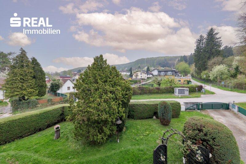 Fernblick 2