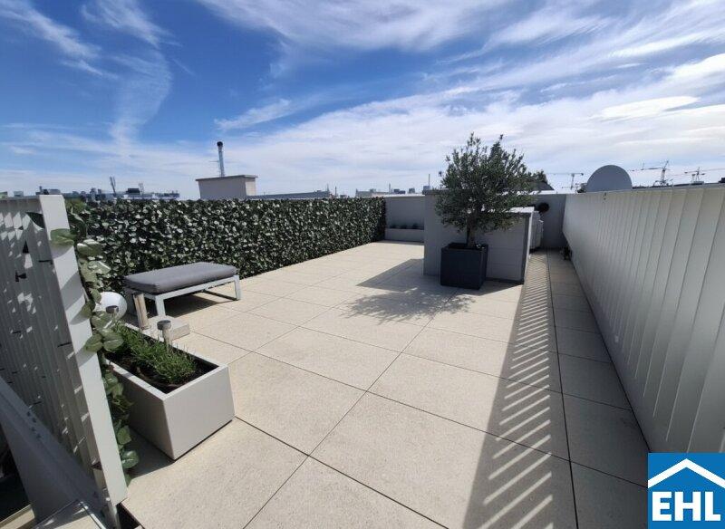 Terrasse 1.1