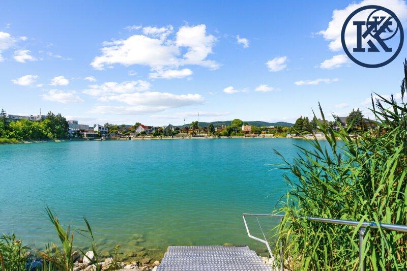 Teich