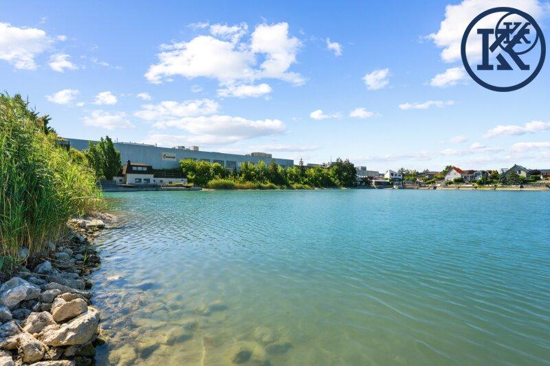 Teich
