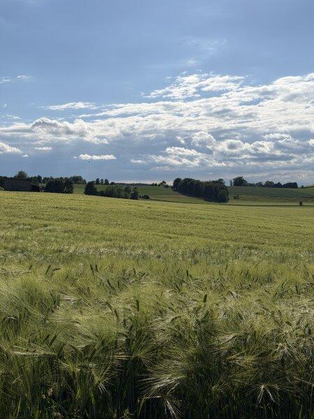 Ansicht Ackerfläche