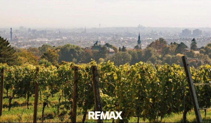 ETW 1190 Döbling - Aussicht