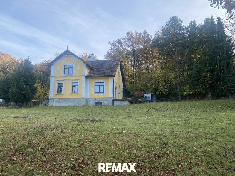 02 Landhaus mit Wiese