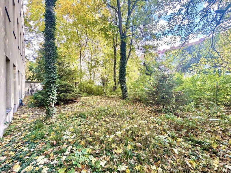 Allgemeingarten
