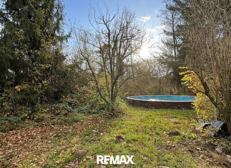 Garten mit Pool
