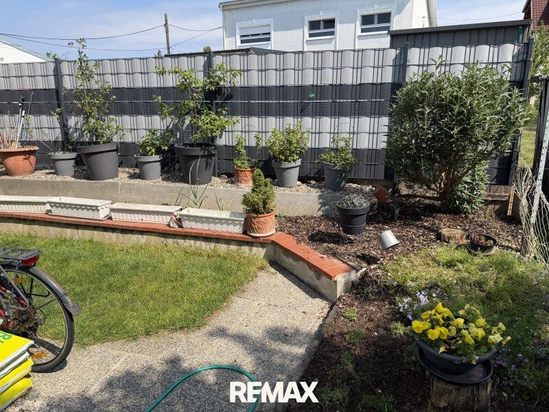 Top 4 - Garten