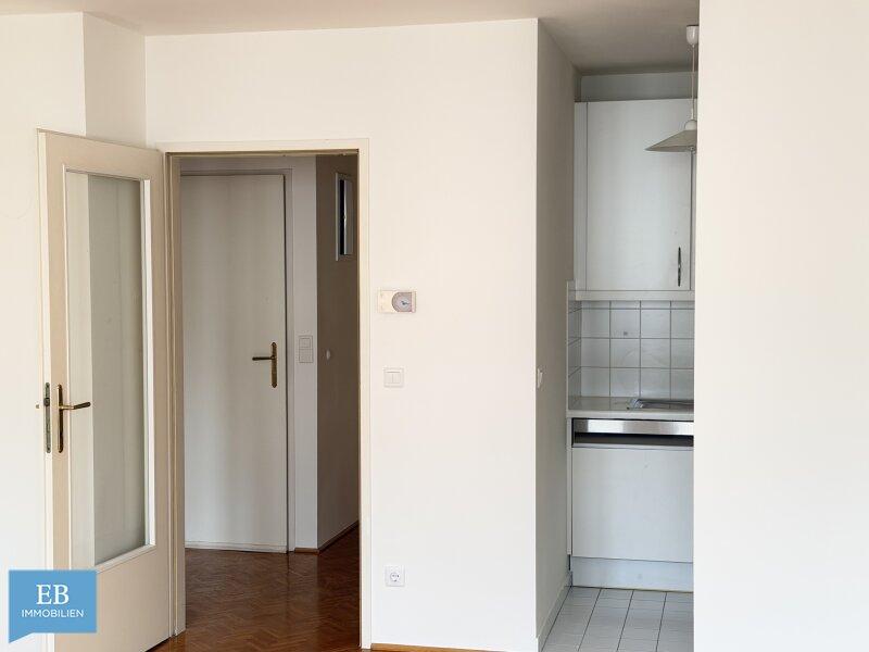 Blick auf Küche und Wohnraum reingezoomt