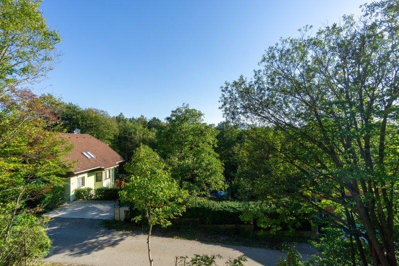 Ausblick vom Dachgeschoß