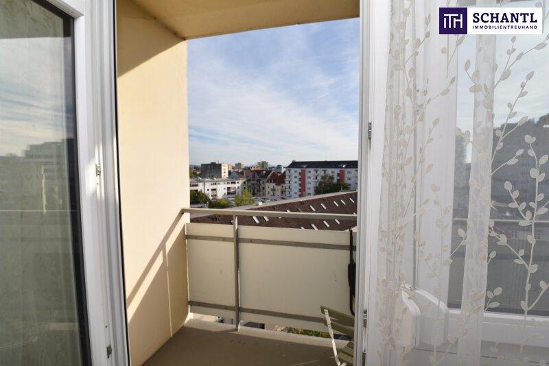 Ausblick_2