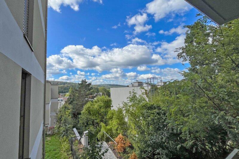 Balkon_Ausblick