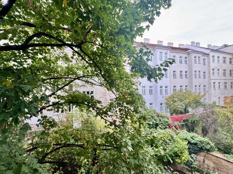 Ausblick