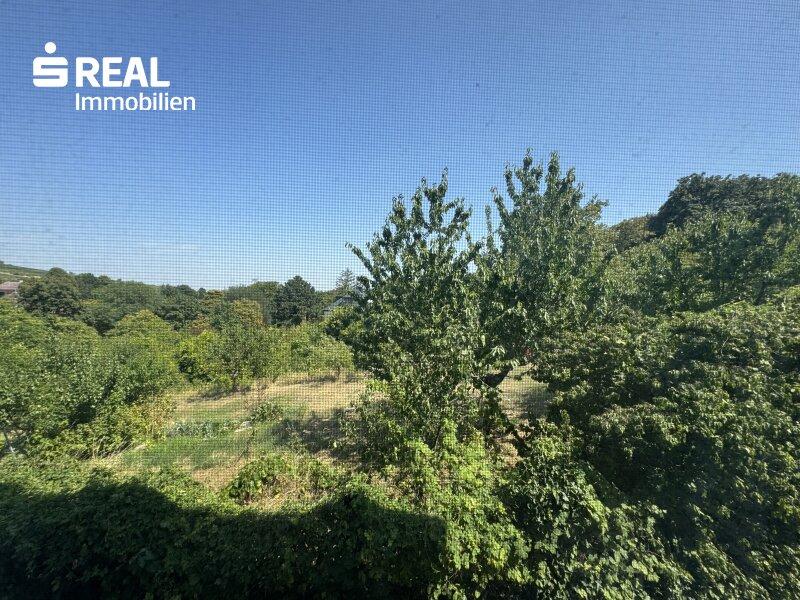 Ausblick vom Fenster
