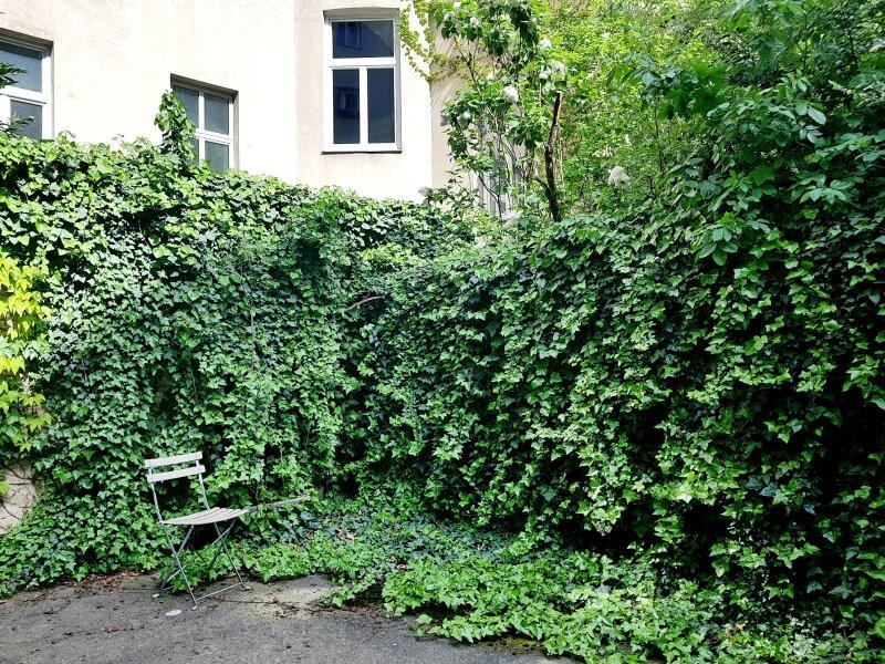Umgebung