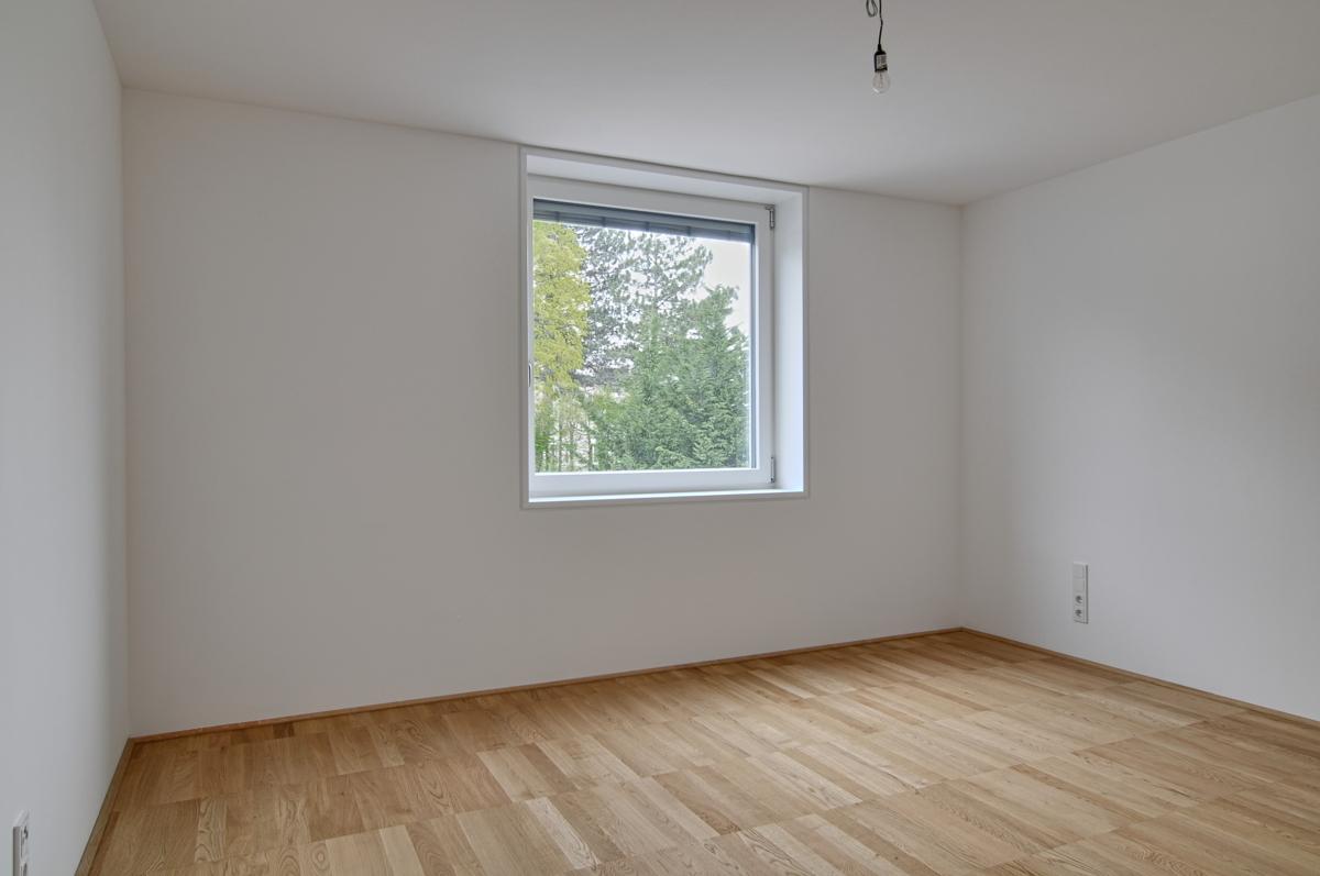 Zimmer1