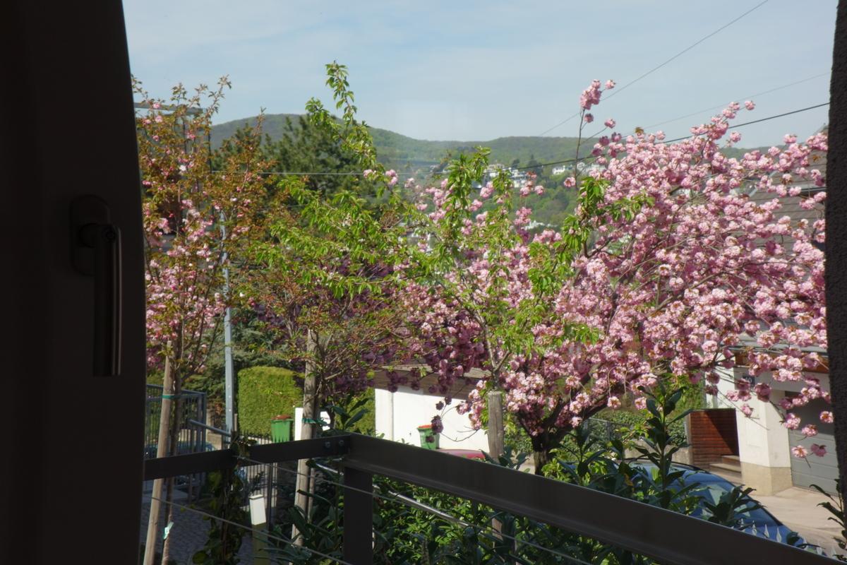 Ausblick