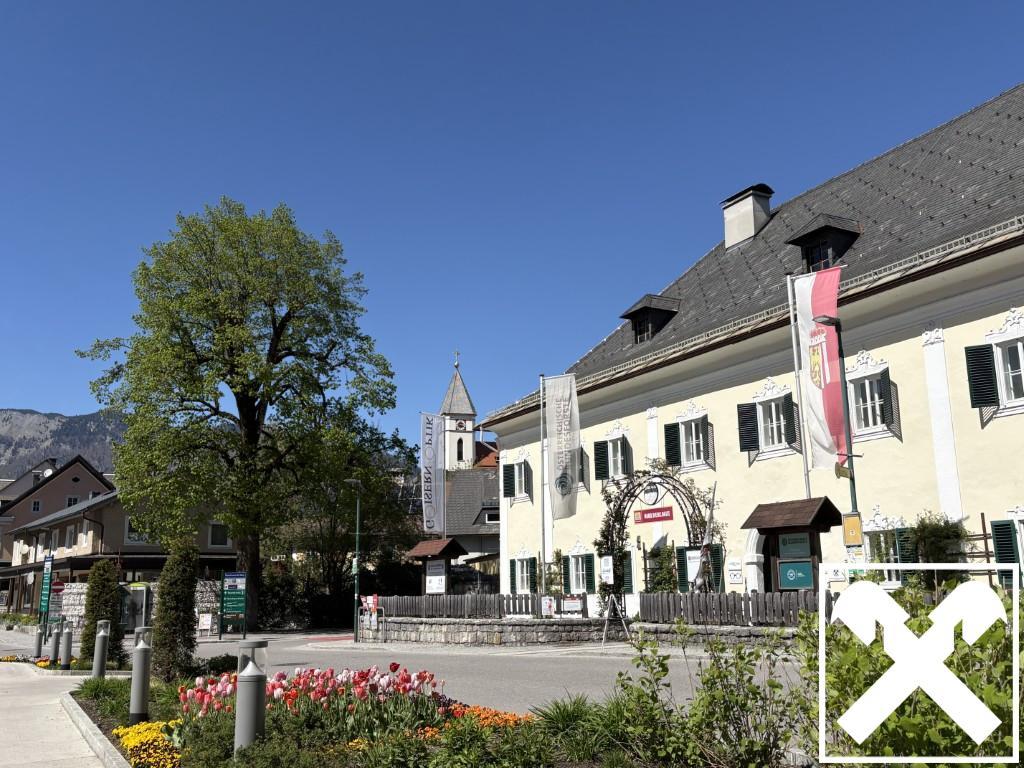 Bad Goisern (1)