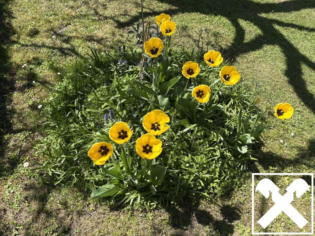 Garten allgemein (2)