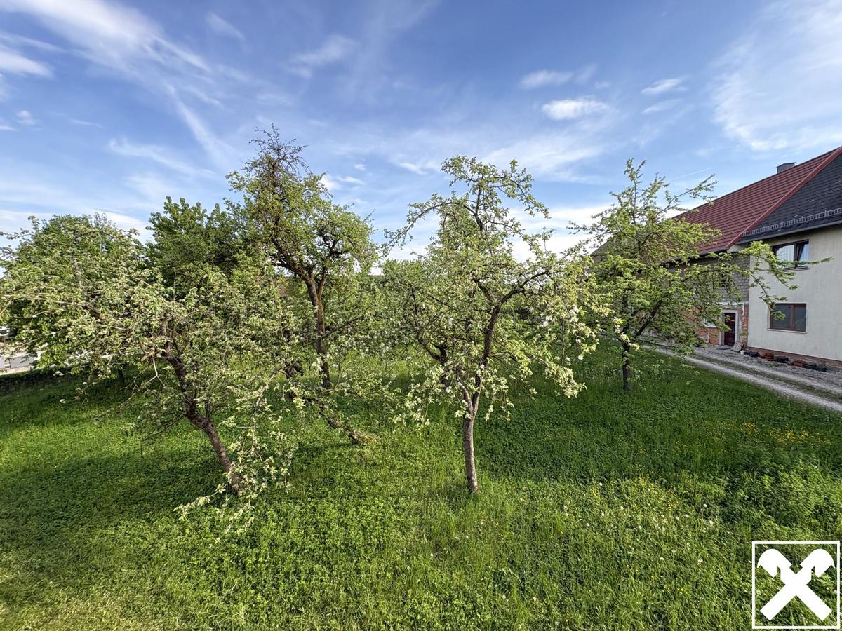 Blick in den Garten