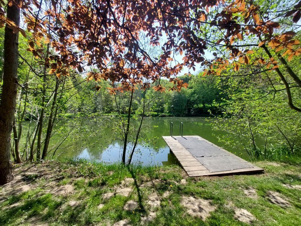 Waldteich Wrnitz in der Nhe