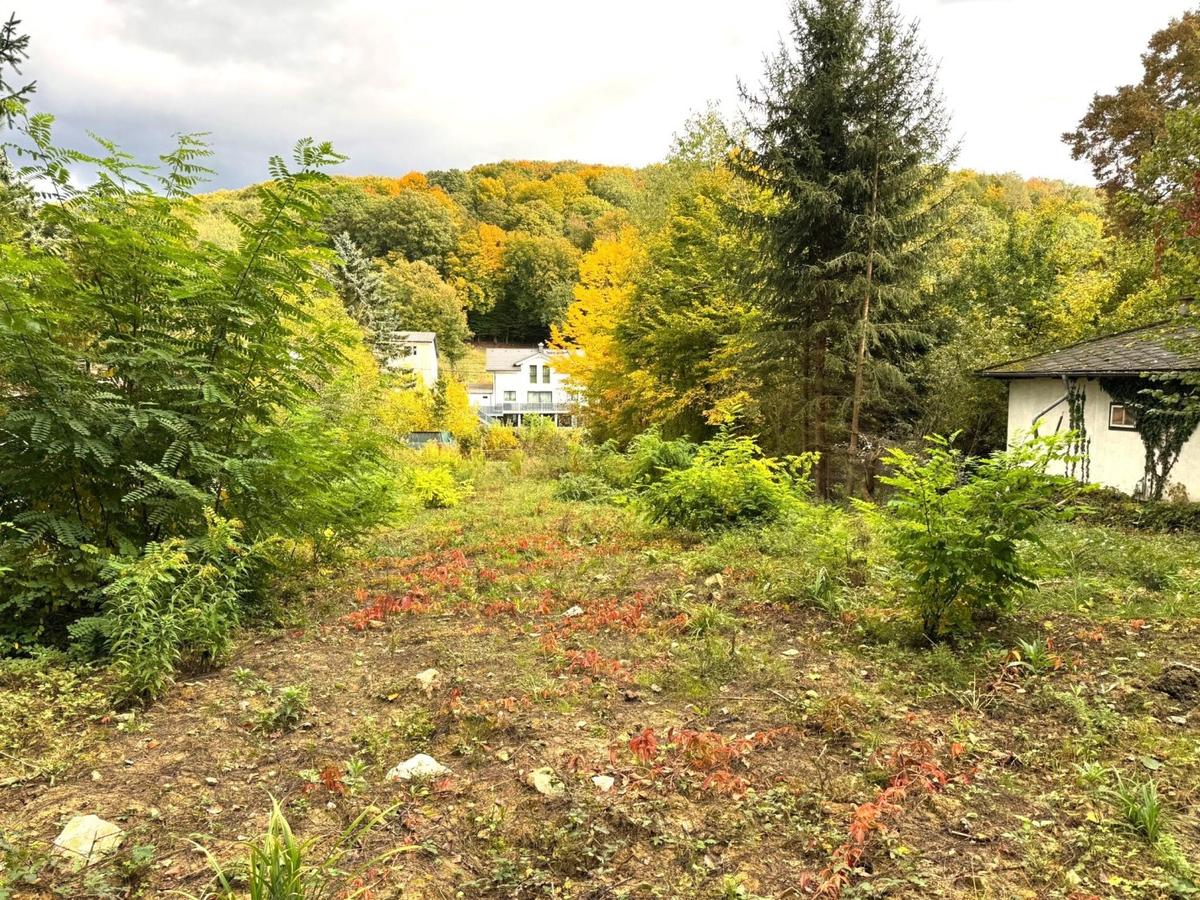 04 Baugrund in Mauerbach