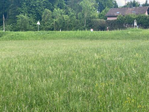 &quot; Baugrund Eigenheim in Ried am Riederberg ohne Bauzwang - Leben im Wienerwald &quot;