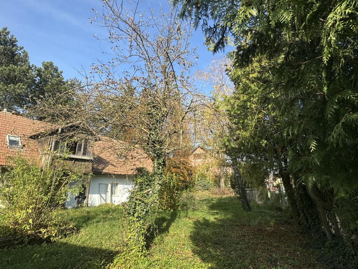 08 Baugrund in Katzelsdorf