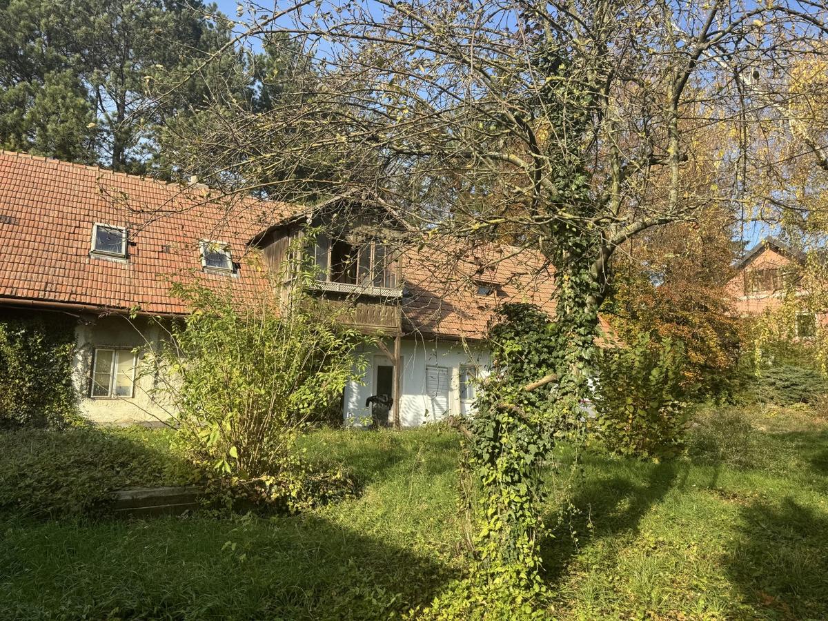 13 Baugrund in Katzelsdorf