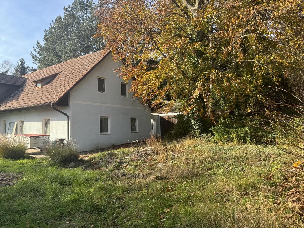 07 Baugrund in Katzelsdorf