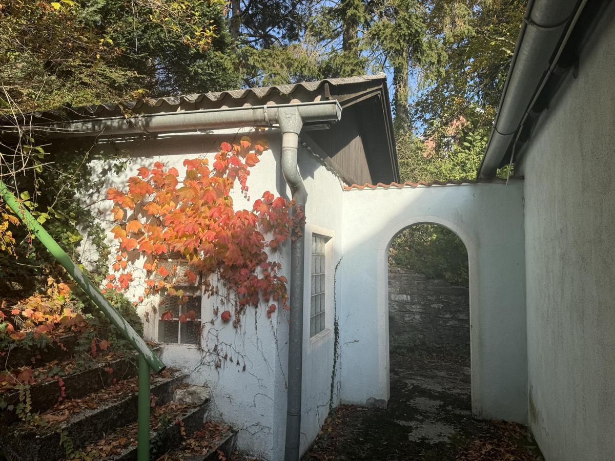 09 Baugrund in Katzelsdorf