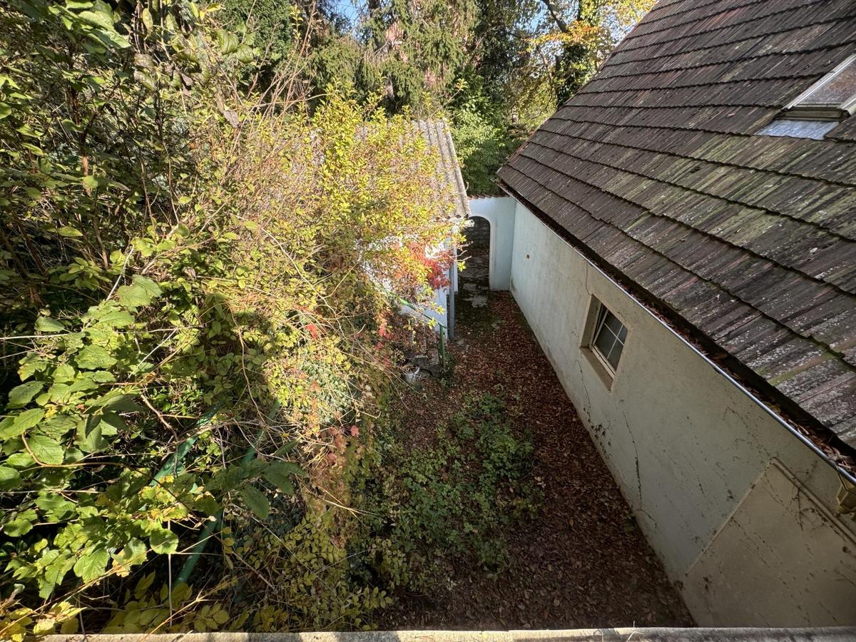 11 Baugrund in Katzelsdorf