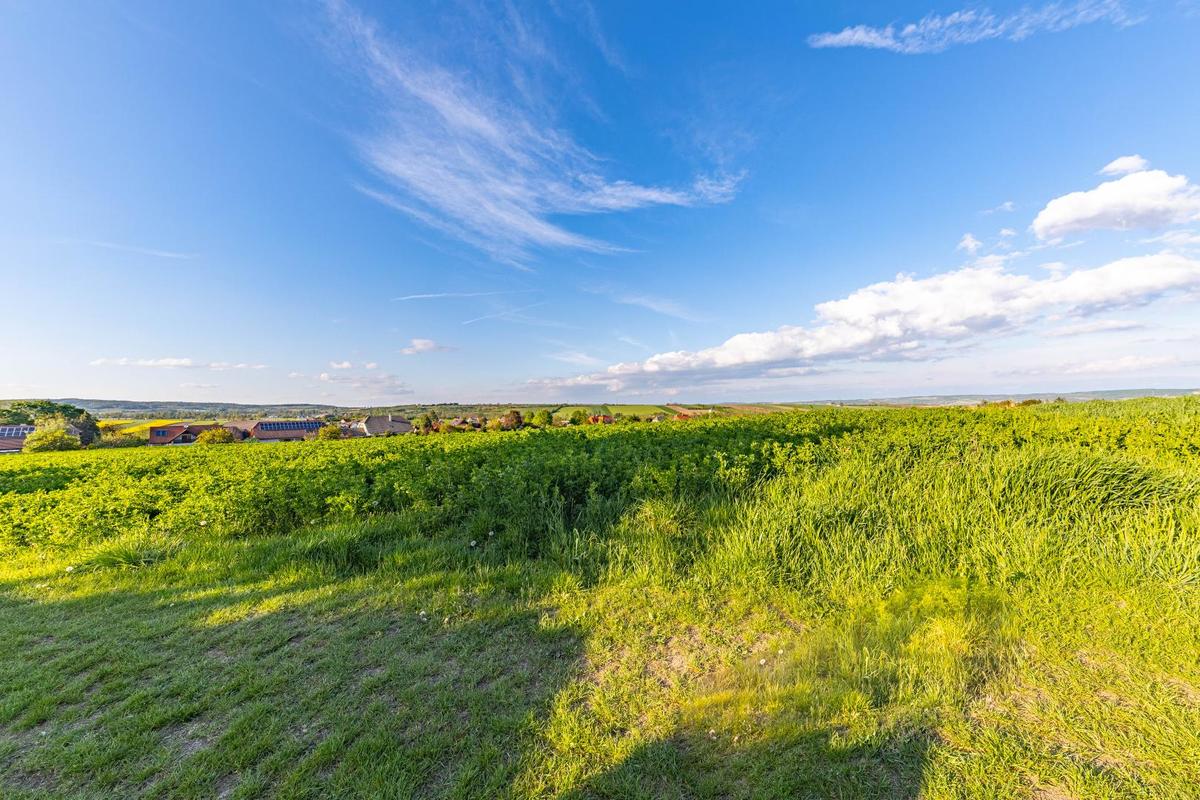IMG_1449-HDR-2
