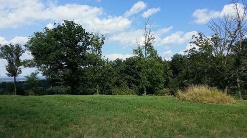 Grnland Tullnerfeld Aussichtslage