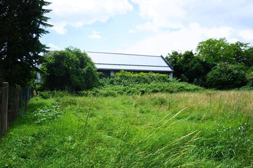 BAUGRUNDSTCK FR BAUTRGER ODER EIGENHEIM IN SONNIGER LAGE