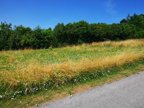 Eckgrundst�ck in Ortsrandlage 1.216 m�