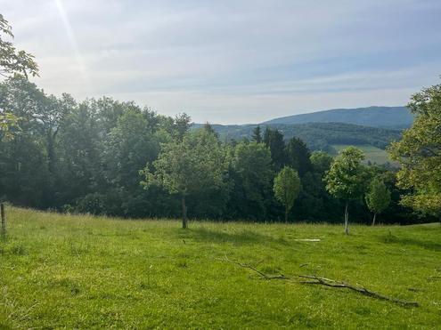 RUHIGE AUSSICHTSLAGE AN DER GRNLANDGRENZE