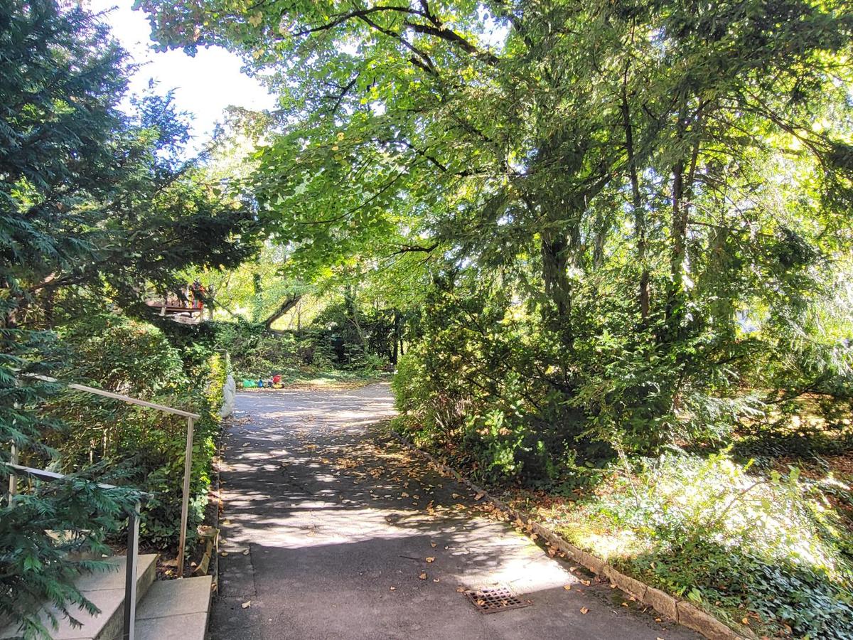 Gemeinschaftsgarten