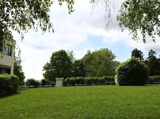 allgemeine Gartenannlage