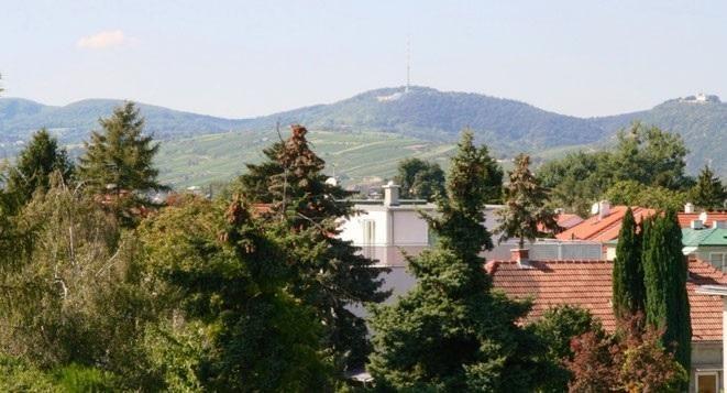 Fernblick