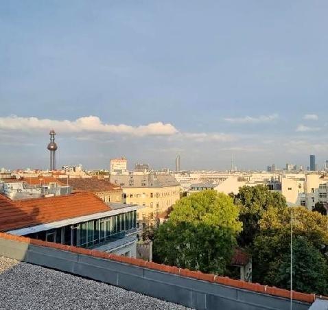 Fernblick_2