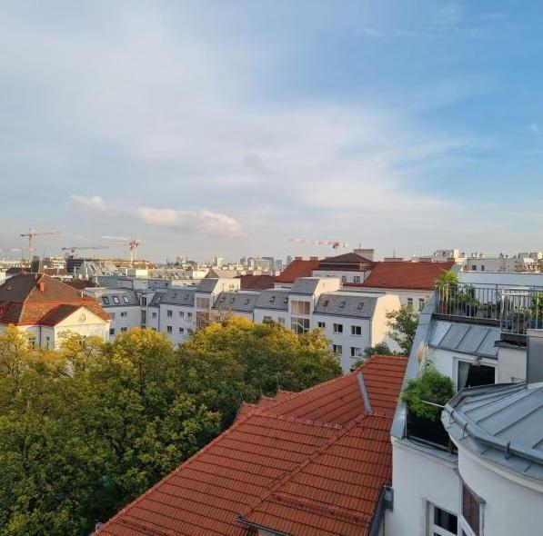 Fernblick_3